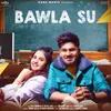 About Bawla Su Song